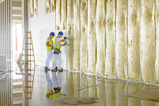 Best Specialized Insulation Services in Mahomet, IL
